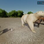 Animals5