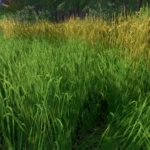 GRASS TEXTURE V1.03