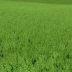 GRASS TEXTURE WITH ALFALFA V1.03