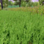 GRASS TEXTURE WITH ALFALFA V1.04