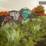 MASSEY FERGUSON 4270 BETA V1.0