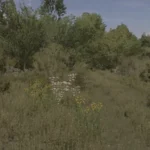 OSINA 4X NOT FINISHED V1.05