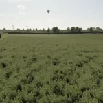 LA PETITE BOURGOGNE V1.03