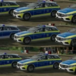 MERCEDES-BENZ E-CLASS 2016 POLICE SKIN PACK V1.02