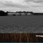 VINTAGE OAKS AUTODRIVE V1.02