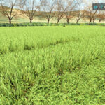 Advanced Conversion System4