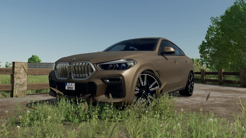 BMW X6 M-Sport 2020 v1.02