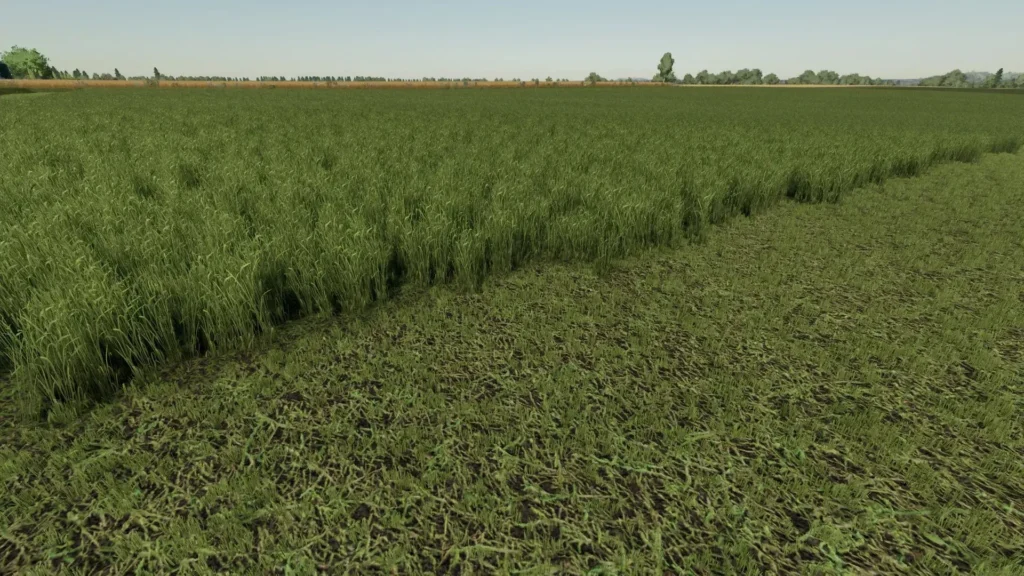 Grass Texture v1.0