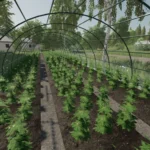 Greenhouse v1.0