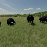 Placeable Bulls v1.03