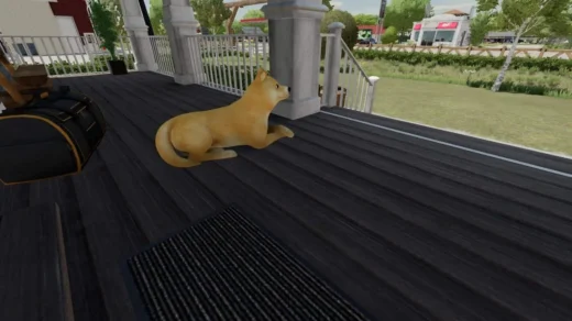 Shiba Inu Doge Coin dog v1.0