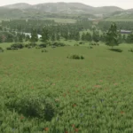 Longhorn Valley Ranch v1.0