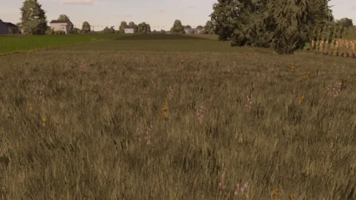 Meadow Texture v1.0