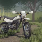 Lizard DT 125 1990 v1.04
