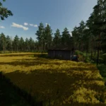 Pohjaforest Map v1.03