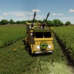 Turtle Van5