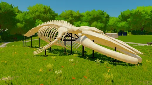 Whale Skeleton Sculpture v1.0