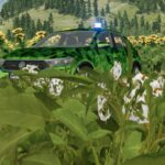 Volkswagen T-Roc4