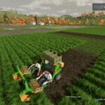 Ecogreen Multis
