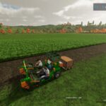 Ecogreen Multis2