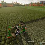 Ecogreen Multis3