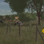 Euro Łany New Version v1.06