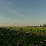 Le Bassin Agricole V26