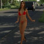 Placeable hitchhiker