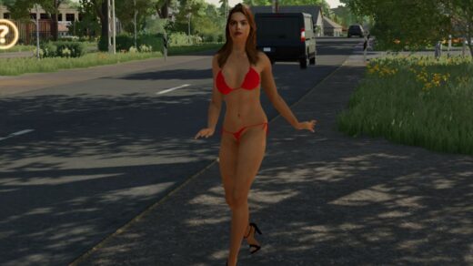 Placeable hitchhiker