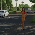 Placeable hitchhiker2