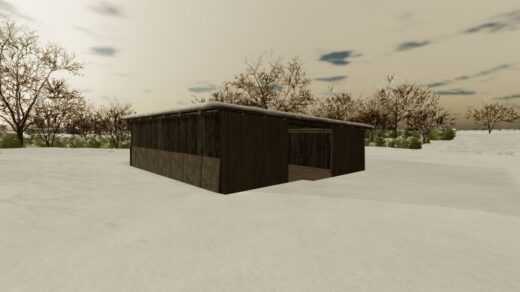 Small shed
