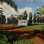 Fazenda Agroverde Nova Mutum-MT4