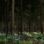 Thick Forest