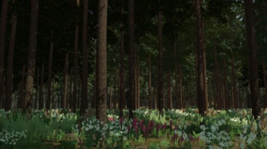 Thick Forest