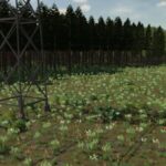 Thick Forest2