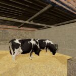 Old brick cowshed2