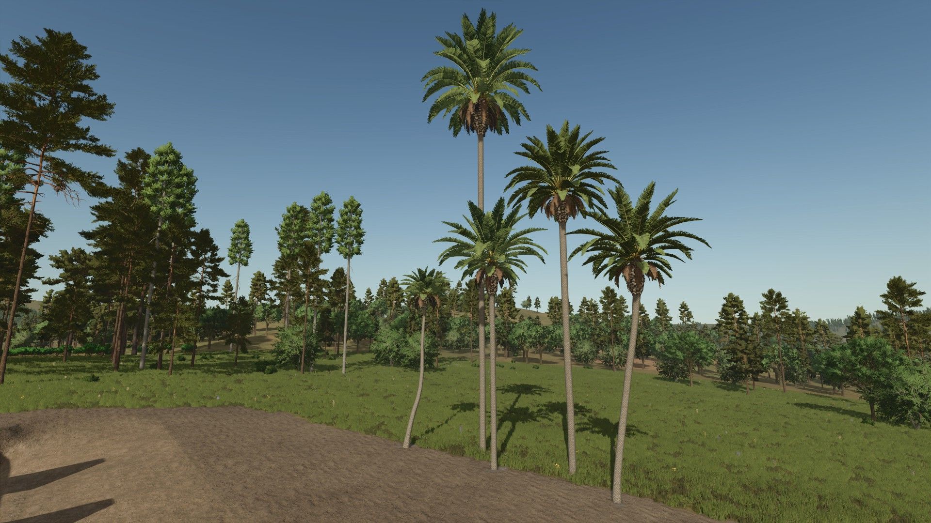 Palm Tree Pack V1.0  FS22 mod