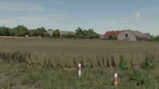 Canola v1.0