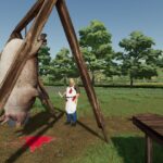 Pig slaughter decoration