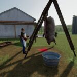 Pig slaughter decoration2