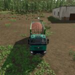 Tatra Phoenix 8x84