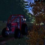 IMT 577 Forest