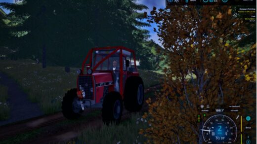 IMT 577 Forest
