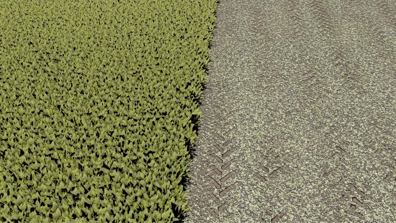 SUGARBEET TEXTURE - ROWCROP READY v1.0