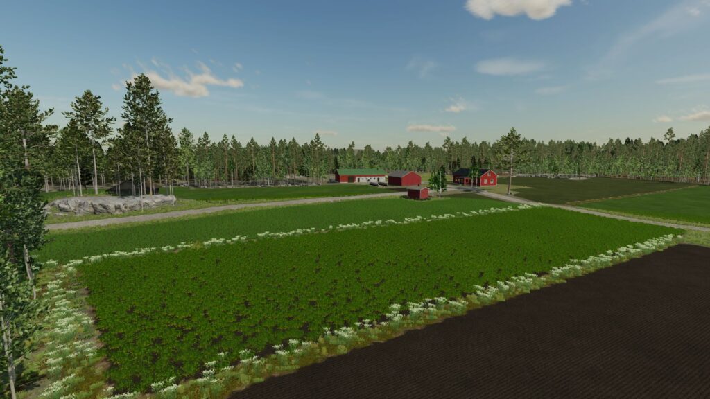 Haapavaara 1988