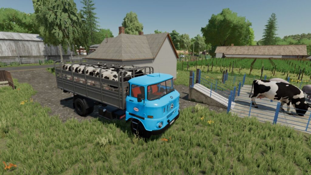 IFA W50 Animal Transport