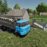 IFA W50 Animal Transport