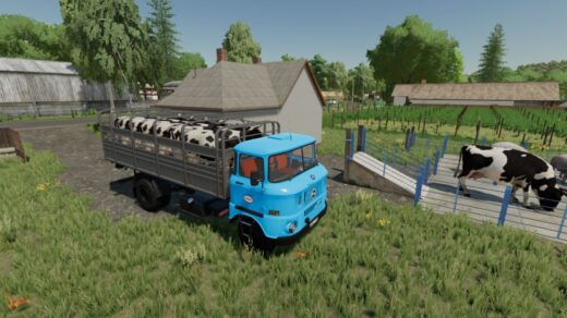 IFA W50 Animal Transport