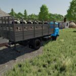 IFA W50 Animal Transport2