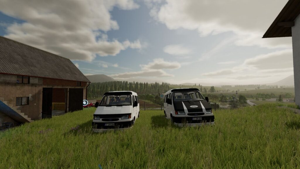 Ford Transit 12